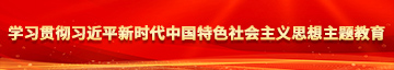 大逼对大屌电影网站学习贯彻习近平新时代中国特色社会主义思想主题教育